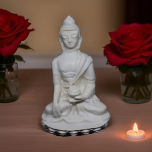 Read more about the article Enlighten Your Space: Celebrating Buddha Purnima with Exquisite Buddha Statues from SalvuseStore