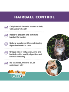 Read more about the article Wellnergy Pets Hairball Control Multivitamin for Cats