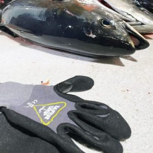 Read more about the article Fishing Gloves Guide