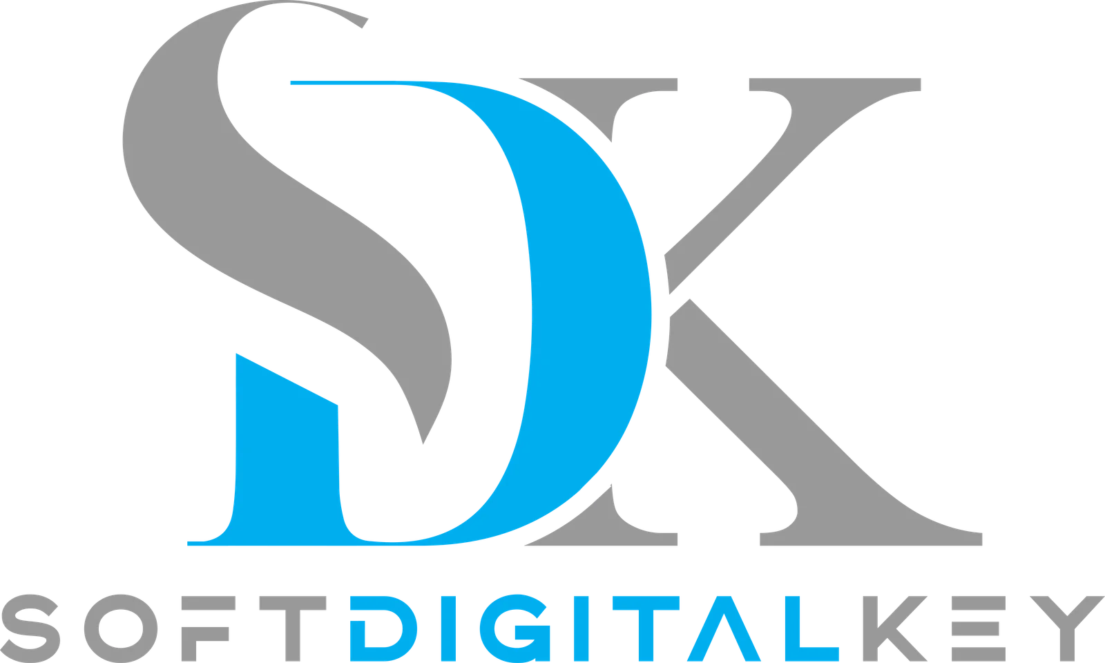 You are currently viewing SoftDigitalKey: Revolutionizing Software Purchasing with Speed, Security,and Support